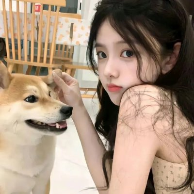 洛克王国3:圣龙的守护