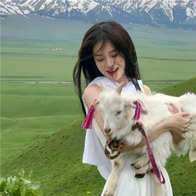 拦截终结者